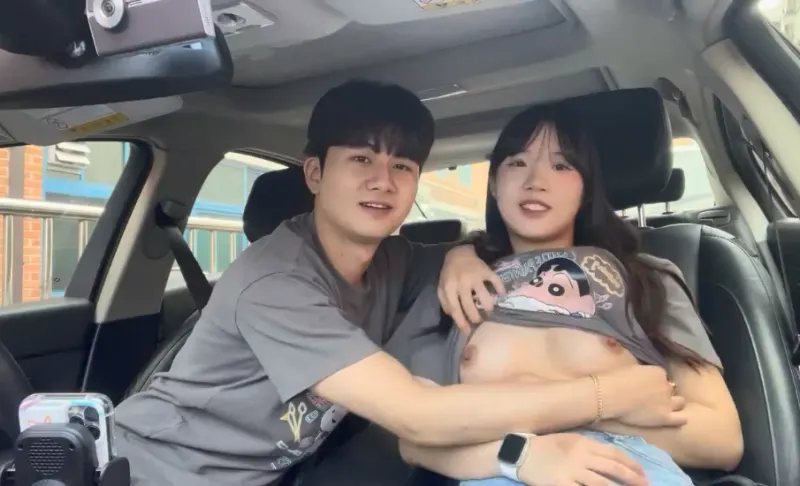 Cute couple sucking breasts in the car
